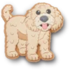 „B’golden Doodle Puppy Jibbitz – brelocuri pentru încălțăminte”