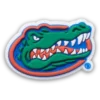Brelocuri Jibbitz™ de la Universitatea din Florida Brelocuri Jibbitz™ de la Universitatea din Florida