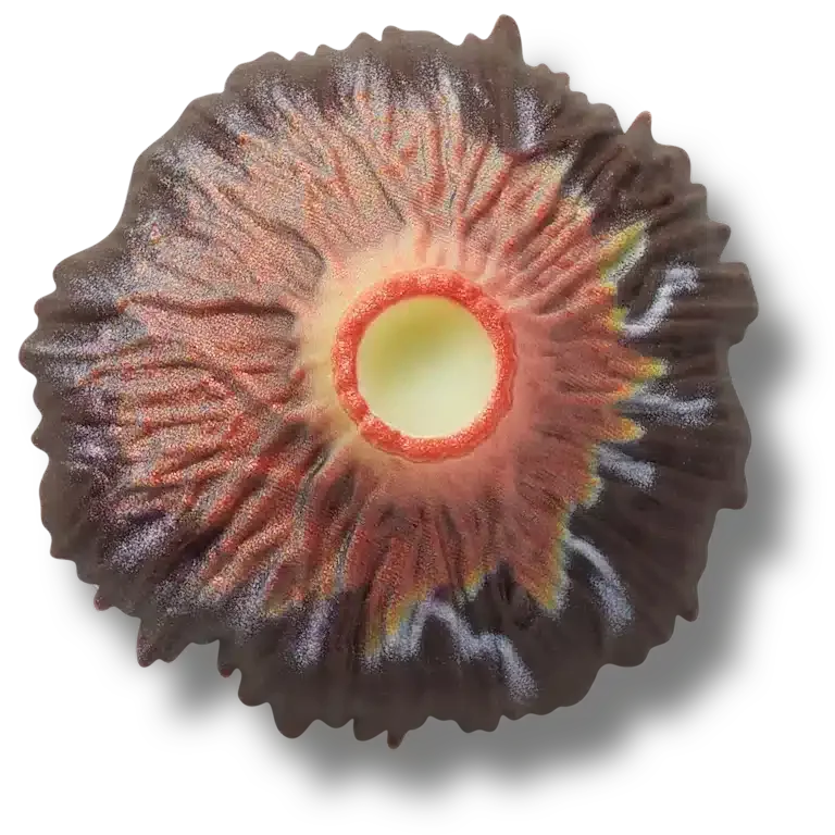 Brelocuri Jibbitz™ „Erupție vulcanică” Brelocuri Jibbitz™ „Erupție vulcanică”