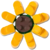Talismane Lego® Sunflower Brelocuri Jibbitz™ Talismane Lego® Sunflower Brelocuri Jibbitz™